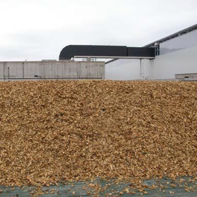 BURÉS-Profesional-Biofiltros-Astilla de madera-Inspo2